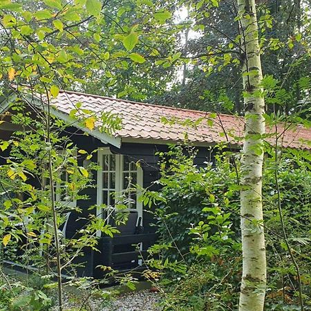 Zizania Vila Noord-Sleen Exterior foto
